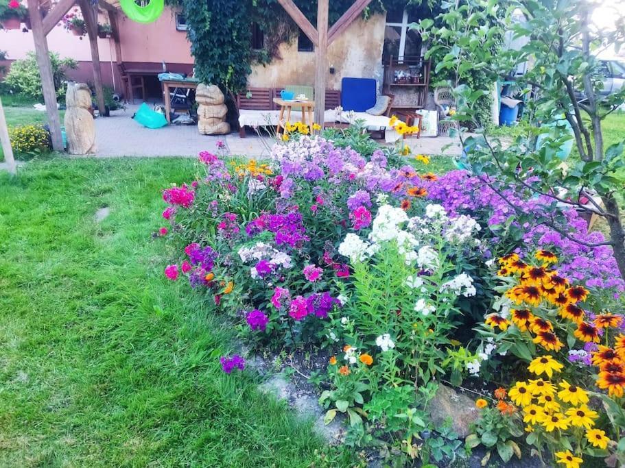Apartment In Blossom Garden Nove Mesto pod Smrkem Esterno foto